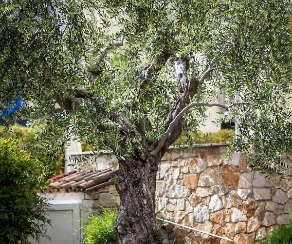 Balach * Porec