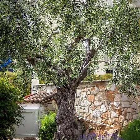 Balach * Poreč
